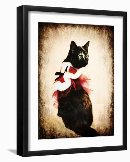 Vintage Christmas Kitten-Jai Johnson-Framed Giclee Print