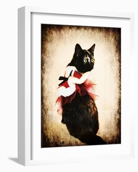 Vintage Christmas Kitten-Jai Johnson-Framed Giclee Print