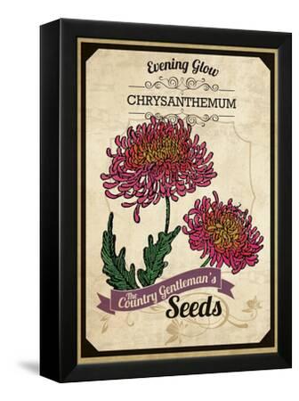 Vintage Chrysanthemum Seed Packet Giclee Print Art Com Vintage Chrysanthemum Seed Packet Giclee Print Art Com