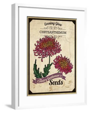 Vintage Chrysanthemum Seed Packet Giclee Print Art Com Vintage Chrysanthemum Seed Packet Giclee Print Art Com