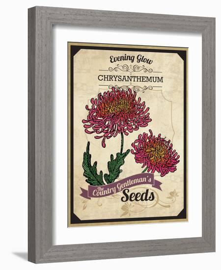 Vintage Chrysanthemum Seed Packet-null-Framed Giclee Print