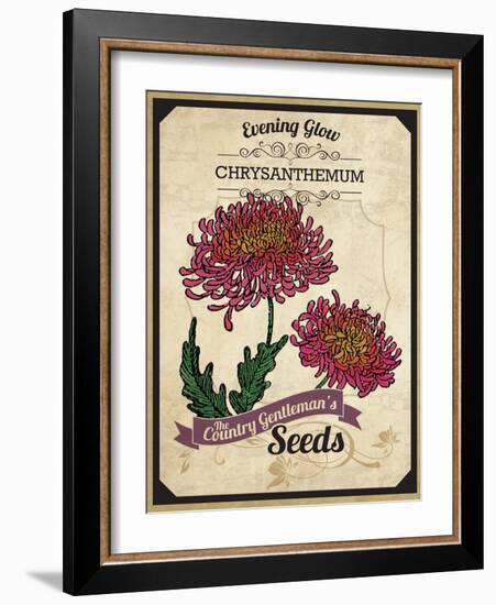 Vintage Chrysanthemum Seed Packet-null-Framed Giclee Print