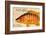Vintage Color Fish, Porto Rico: US Fish Commission Fish Hawk 1900-Christine Zalewski-Framed Art Print