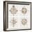 Vintage Compass Roses-vso-Framed Art Print