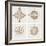 Vintage Compass Roses-vso-Framed Art Print