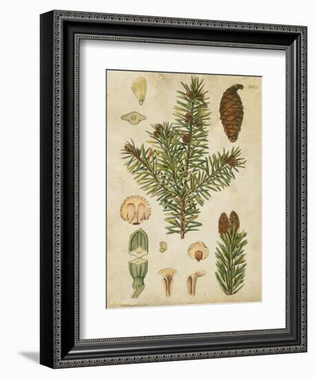 Vintage Conifers III-null-Framed Art Print