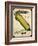 Vintage Corn Seed Packet-null-Framed Giclee Print