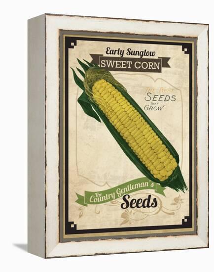 Vintage Corn Seed Packet-null-Framed Premier Image Canvas