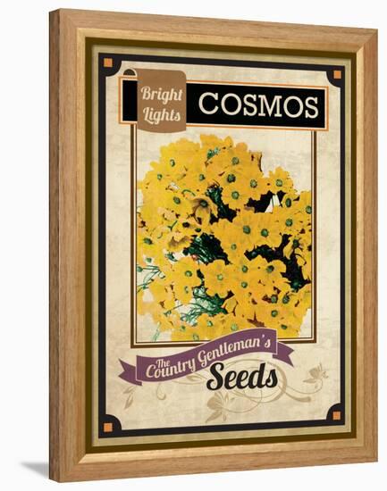 Vintage Cosmos Seed Packet-null-Framed Premier Image Canvas