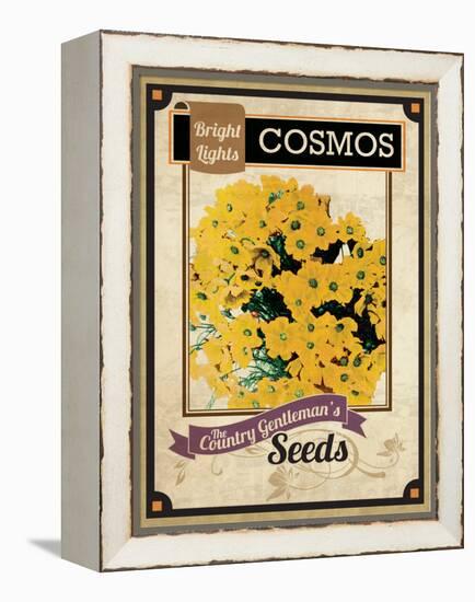 Vintage Cosmos Seed Packet-null-Framed Premier Image Canvas