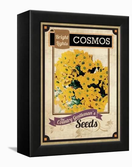 Vintage Cosmos Seed Packet-null-Framed Premier Image Canvas