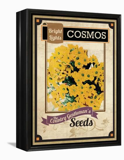 Vintage Cosmos Seed Packet-null-Framed Premier Image Canvas