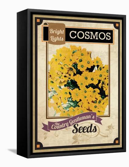 Vintage Cosmos Seed Packet-null-Framed Premier Image Canvas