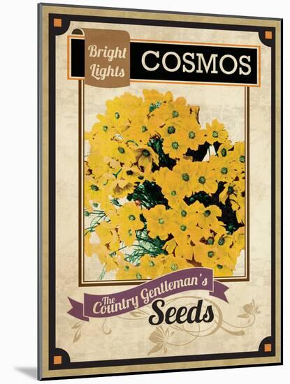 Vintage Cosmos Seed Packet-null-Mounted Giclee Print