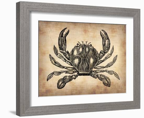 Vintage Crab-NaxArt-Framed Art Print