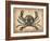 Vintage Crab-NaxArt-Framed Art Print