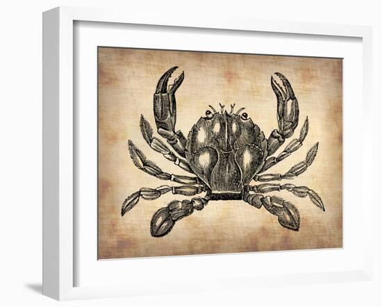 Vintage Crab-NaxArt-Framed Art Print