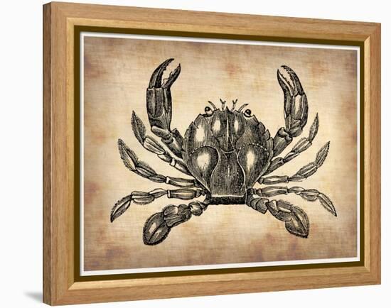 Vintage Crab-NaxArt-Framed Stretched Canvas