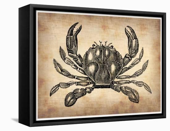 Vintage Crab-NaxArt-Framed Stretched Canvas