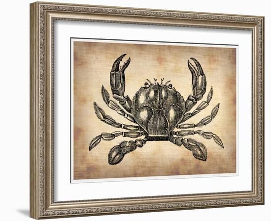 Vintage Crab-NaxArt-Framed Art Print