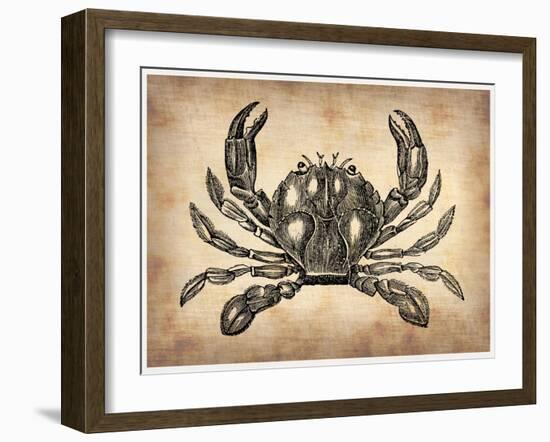 Vintage Crab-NaxArt-Framed Art Print