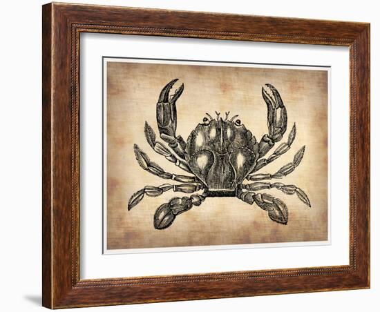 Vintage Crab-NaxArt-Framed Art Print