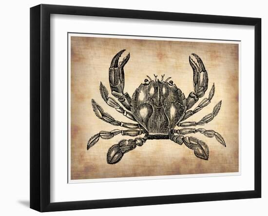 Vintage Crab-NaxArt-Framed Art Print