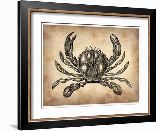 Vintage Crab-NaxArt-Framed Art Print