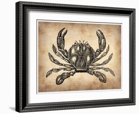 Vintage Crab-NaxArt-Framed Art Print