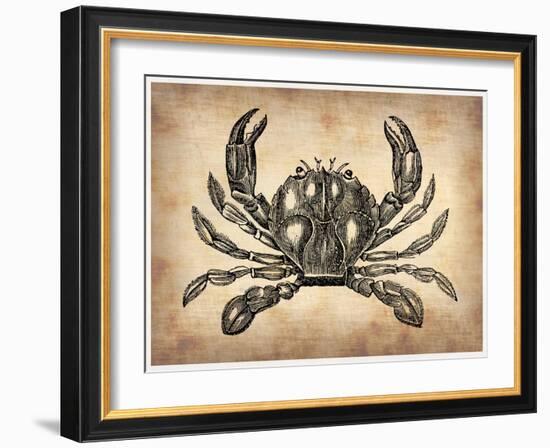 Vintage Crab-NaxArt-Framed Art Print