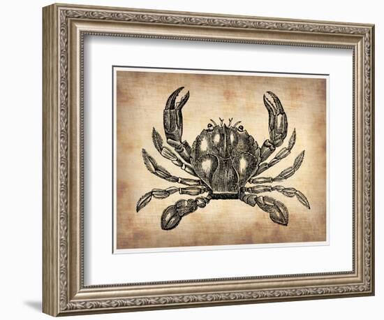 Vintage Crab-NaxArt-Framed Art Print