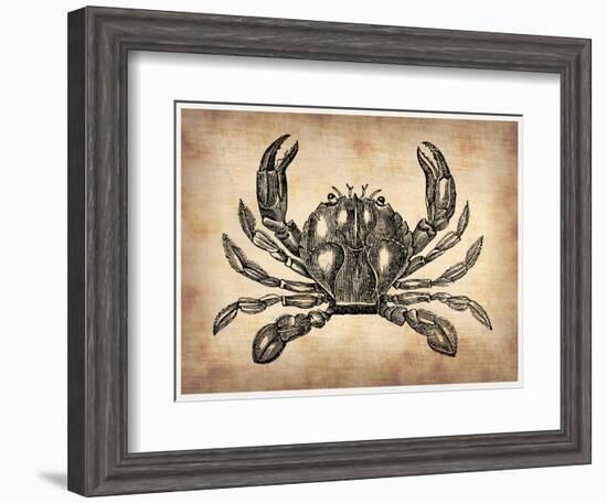 Vintage Crab-NaxArt-Framed Art Print