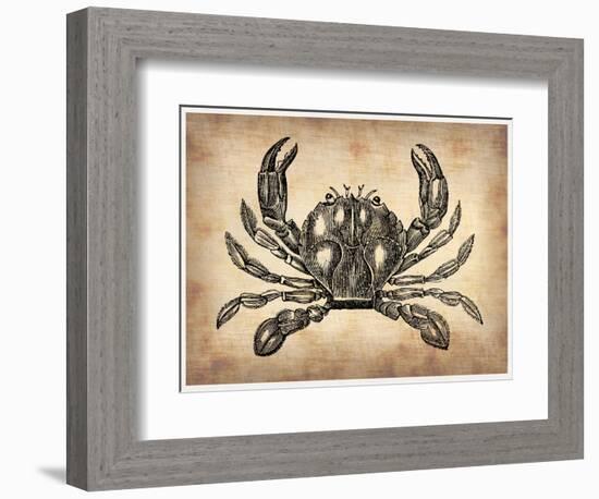 Vintage Crab-NaxArt-Framed Art Print