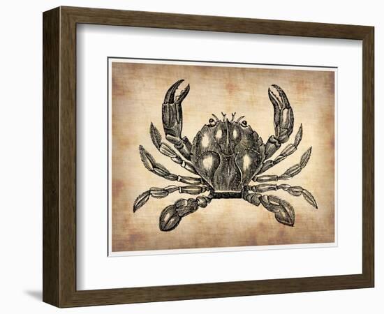 Vintage Crab-NaxArt-Framed Art Print