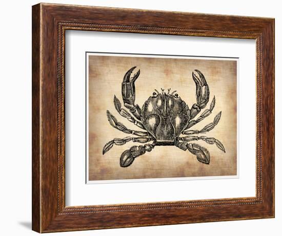 Vintage Crab-NaxArt-Framed Art Print