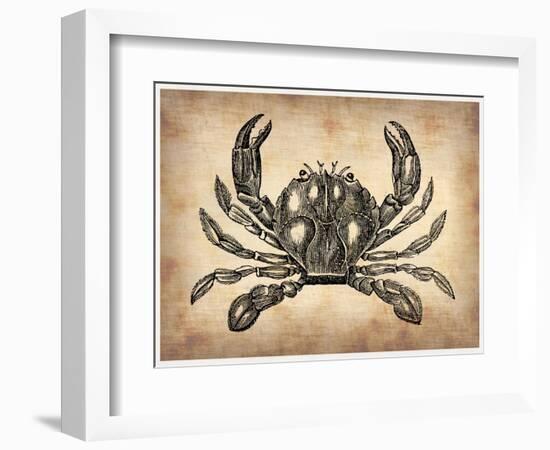 Vintage Crab-NaxArt-Framed Art Print