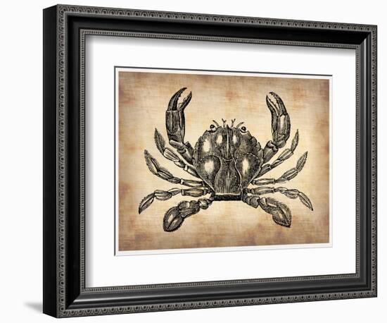 Vintage Crab-NaxArt-Framed Art Print