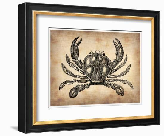 Vintage Crab-NaxArt-Framed Art Print