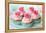 Vintage Cupcakes-Ruth Black-Framed Premier Image Canvas