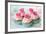 Vintage Cupcakes-Ruth Black-Framed Photographic Print