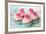 Vintage Cupcakes-Ruth Black-Framed Photographic Print