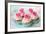 Vintage Cupcakes-Ruth Black-Framed Photographic Print