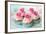 Vintage Cupcakes-Ruth Black-Framed Photographic Print