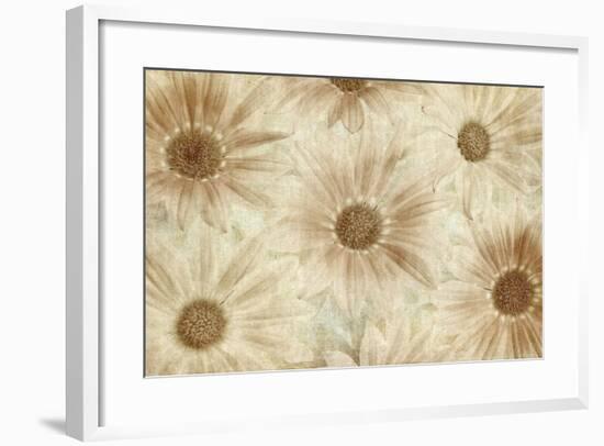 Vintage Daisies-Cora Niele-Framed Photographic Print