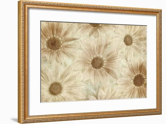 Vintage Daisies-Cora Niele-Framed Photographic Print