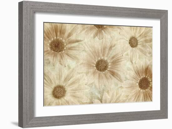 Vintage Daisies-Cora Niele-Framed Photographic Print