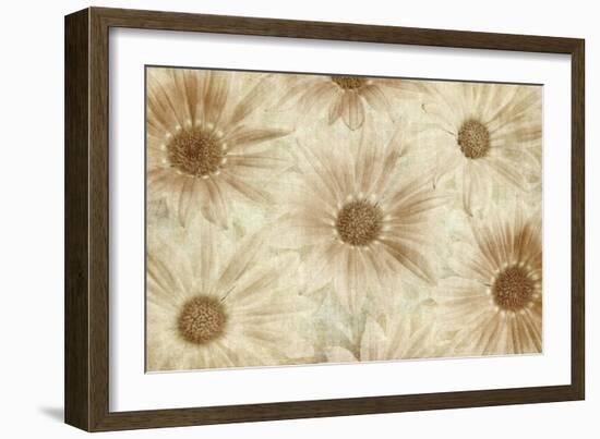 Vintage Daisies-Cora Niele-Framed Photographic Print