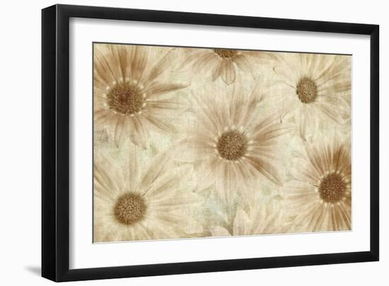 Vintage Daisies-Cora Niele-Framed Photographic Print