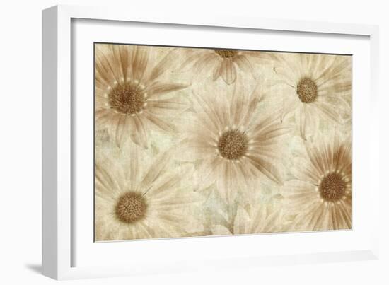 Vintage Daisies-Cora Niele-Framed Photographic Print