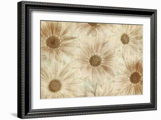 Vintage Daisies-Cora Niele-Framed Photographic Print